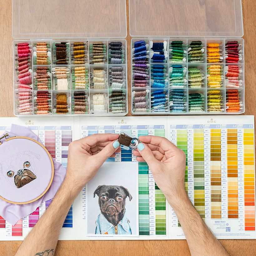 Selecting the color palette with the DMC color card