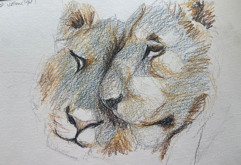 Des gris bleus ont été ajoutés pour refroidir la pièce et rehausser les ombres