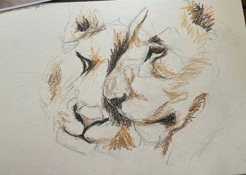 Couleurs chaudes déposées à l'aide de crayons aquarelles