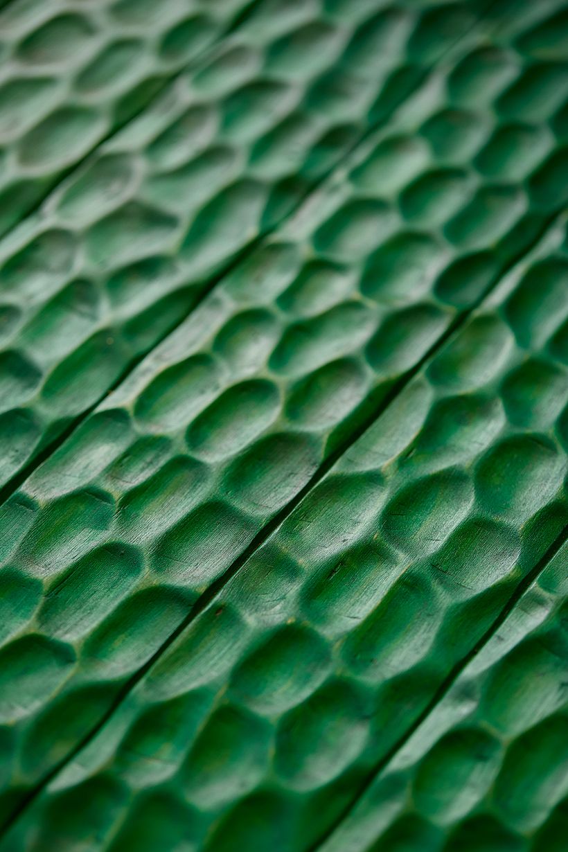 Lagarto de banco