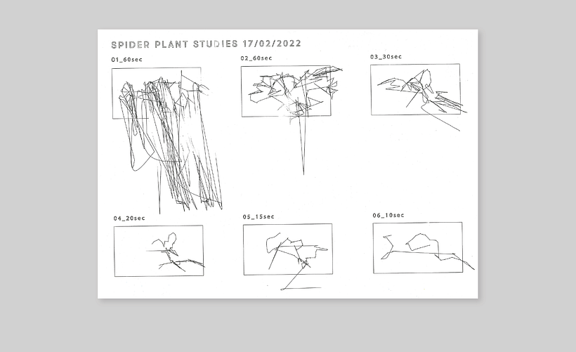 Human Versus Machine Vision 4