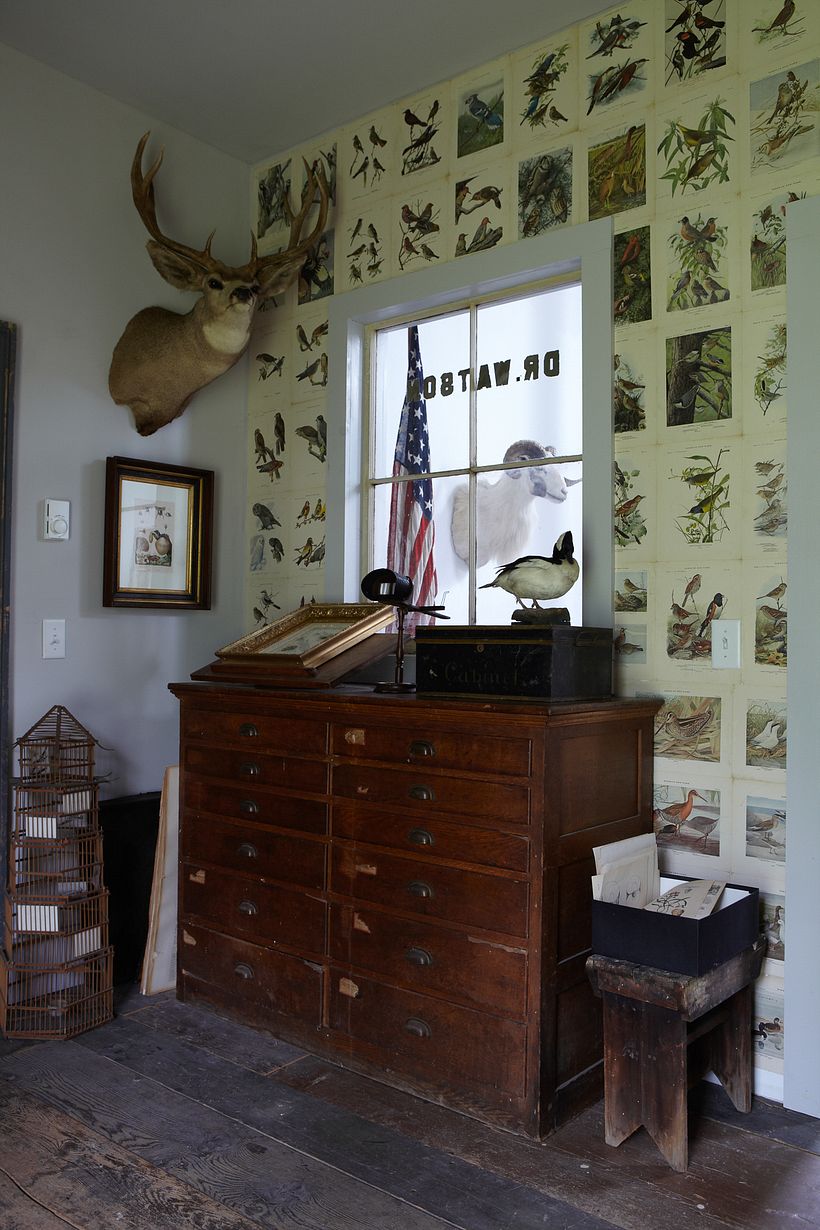 Studio walls papered with book pages of birds.