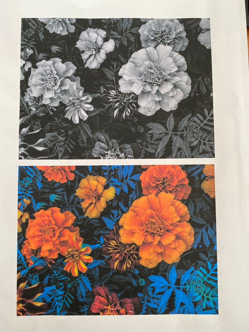 Mi proyecto del curso: Creación de paletas de color con acuarela 3