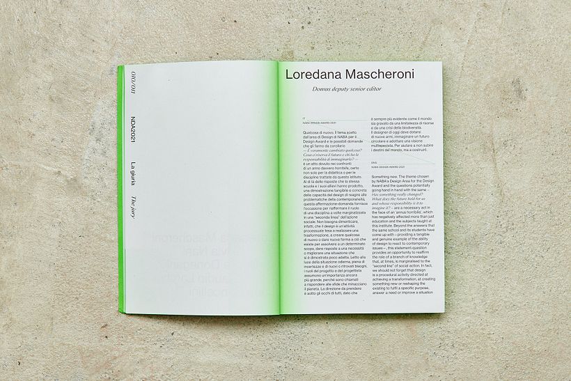 NABA Design Award 11