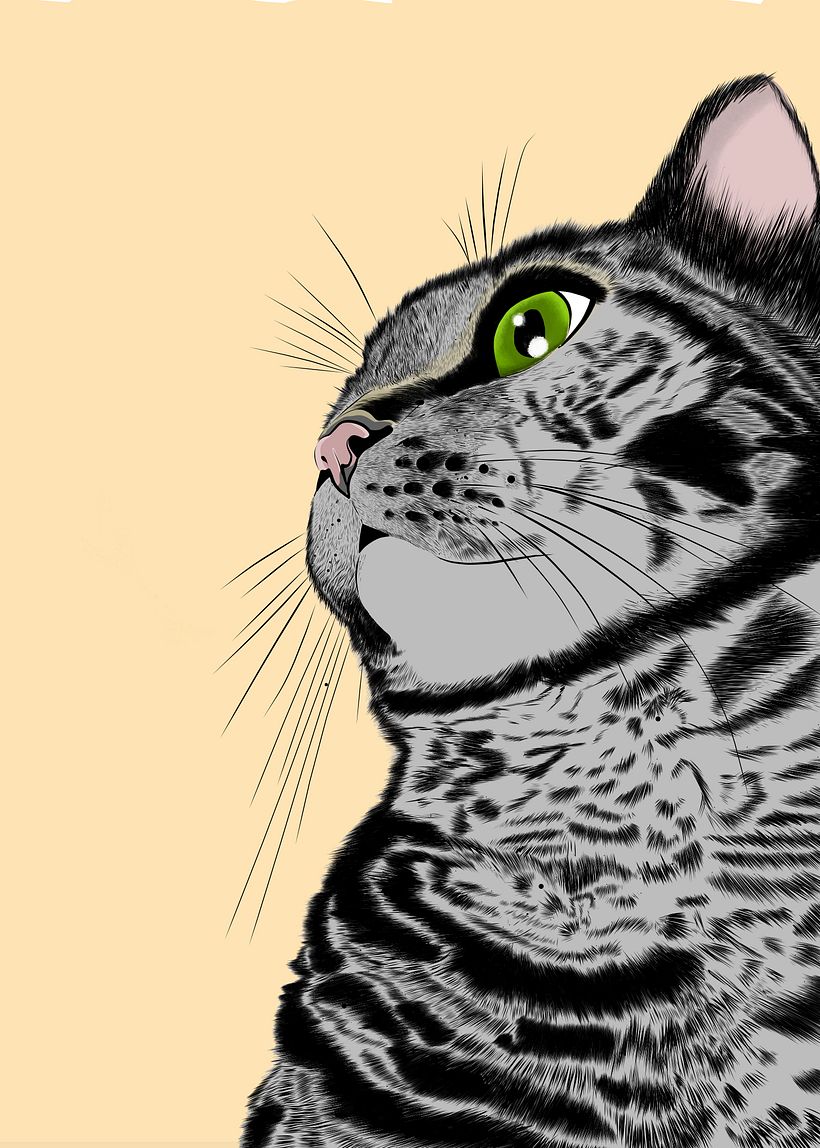 Ilustración del gato 2