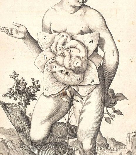the body of jane 11