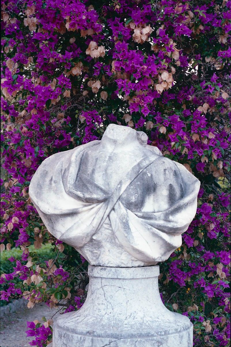 the body of jane 15