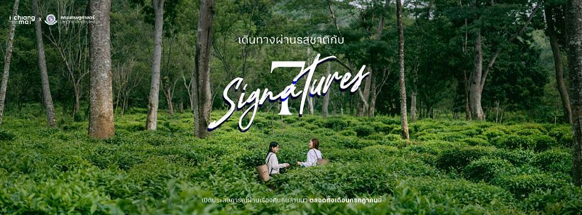 7 Signatures 1