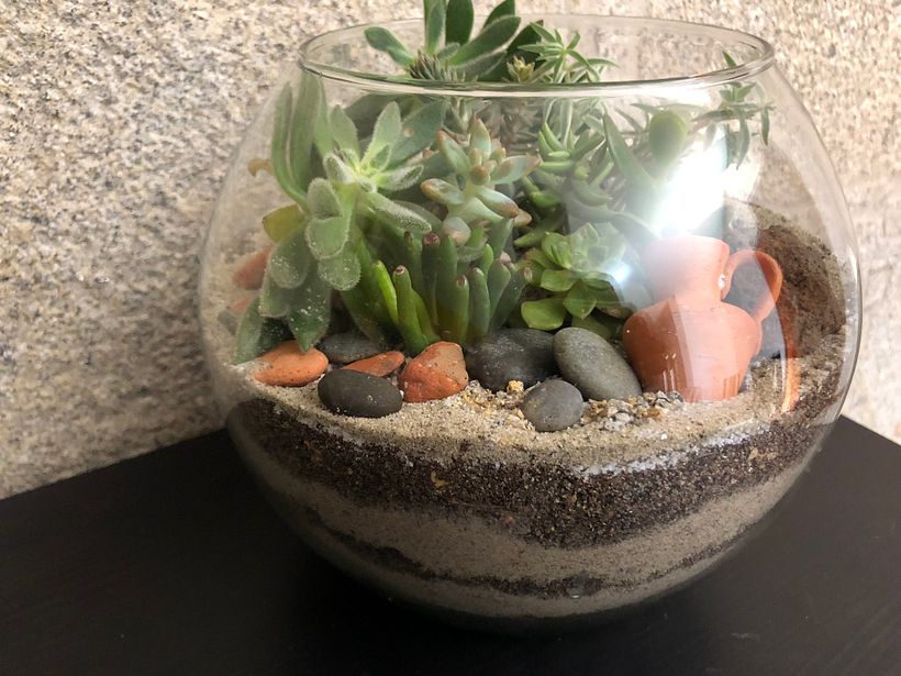 Meu projeto do curso: Arte vegetal: crie seu próprio terrário aberto 3