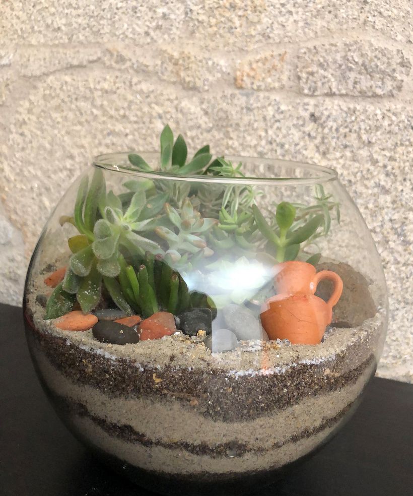 Meu projeto do curso: Arte vegetal: crie seu próprio terrário aberto 5