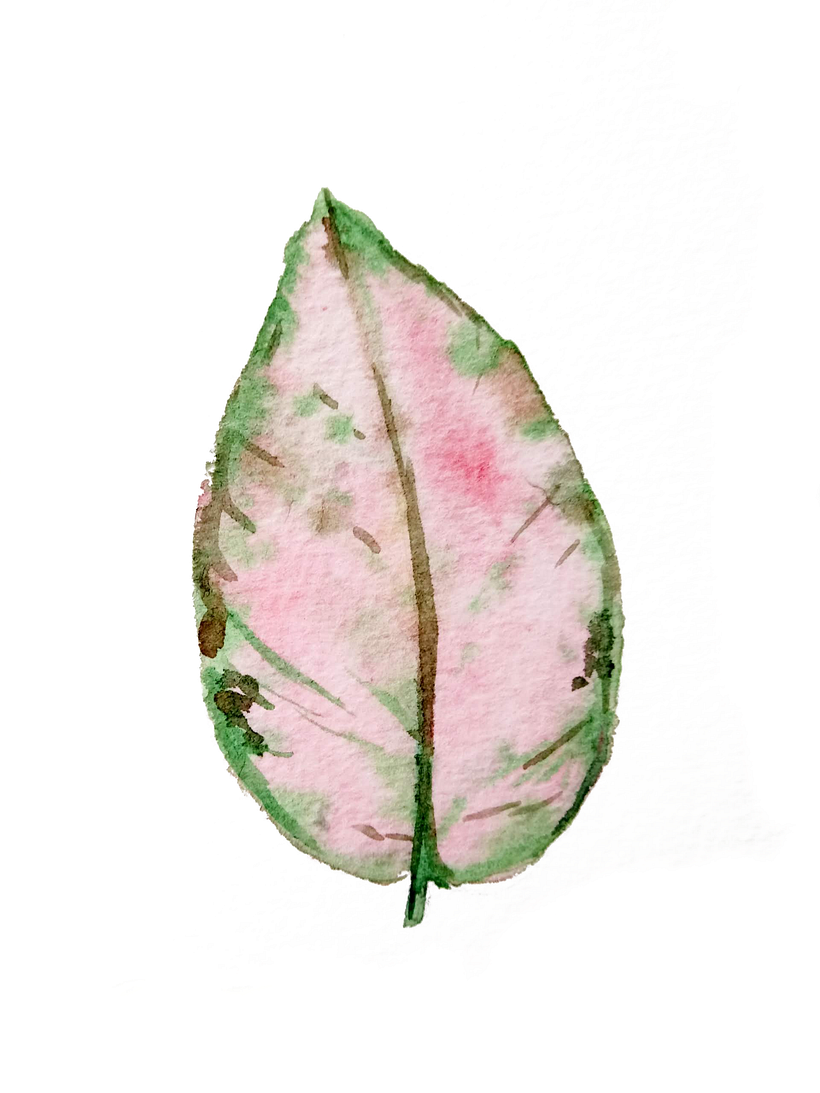 My project for course: Illustration of Natural Elements in Watercolor 2