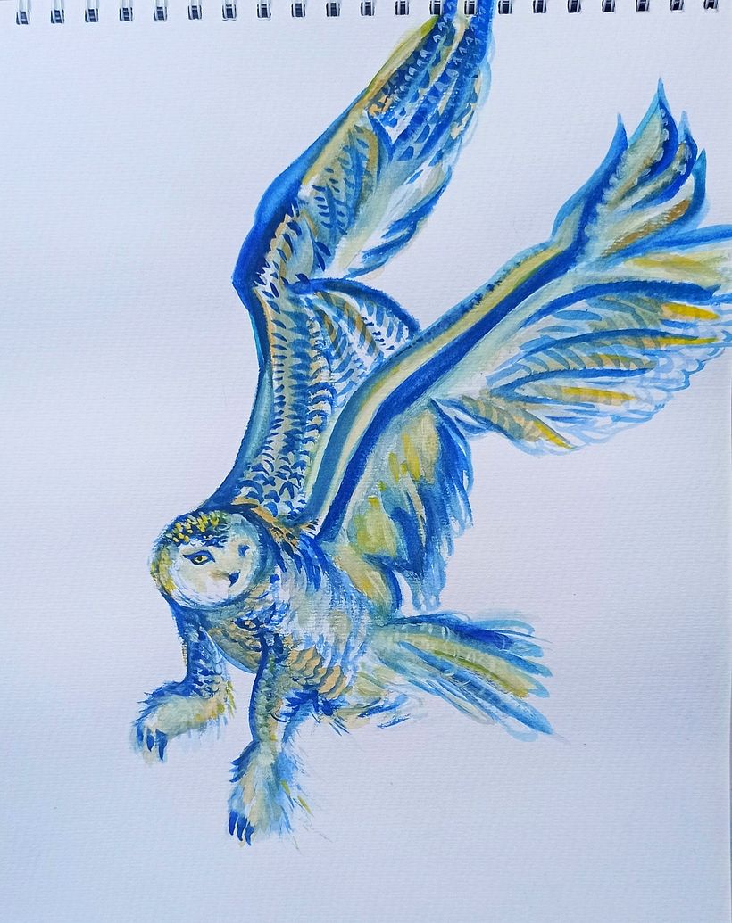 snowy owl in tropical colors