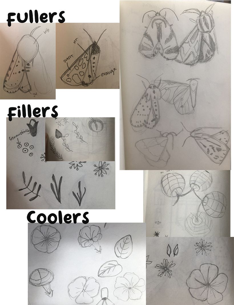 My project for course: Vector Pattern Illustration for Beginners 5