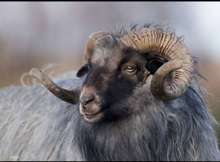 Foto de e referencia