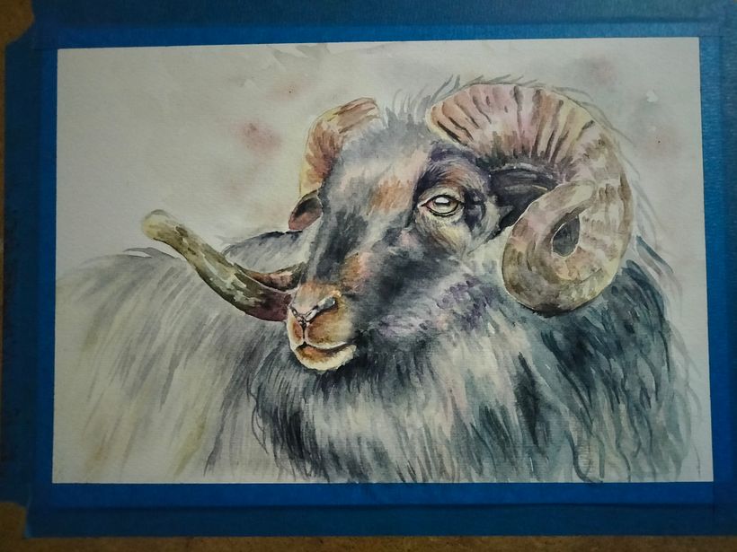 Mi proyecto del curso: Retratos expresivos de animales en acuarela 4