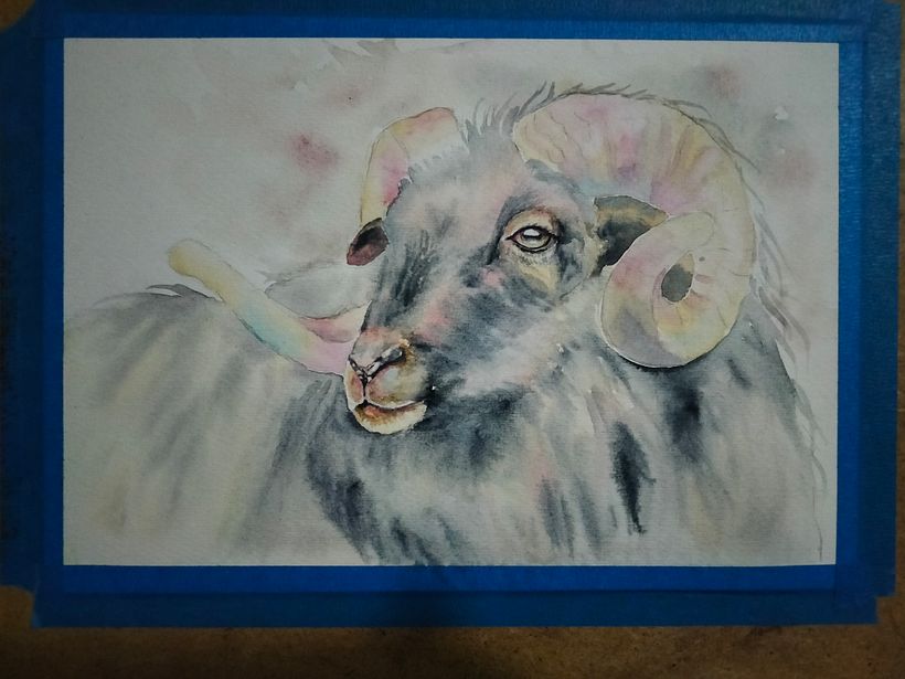 Mi proyecto del curso: Retratos expresivos de animales en acuarela 5