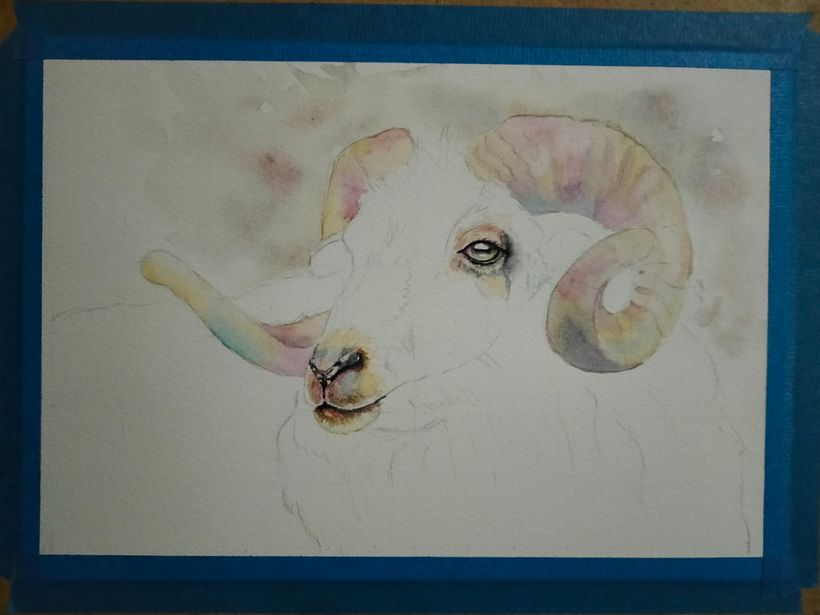 Mi proyecto del curso: Retratos expresivos de animales en acuarela 6