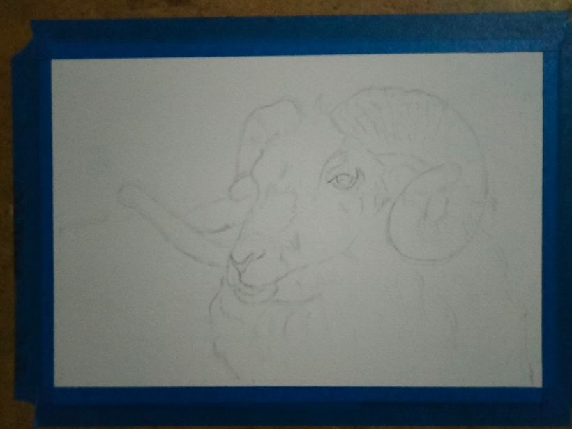 Mi proyecto del curso: Retratos expresivos de animales en acuarela 7