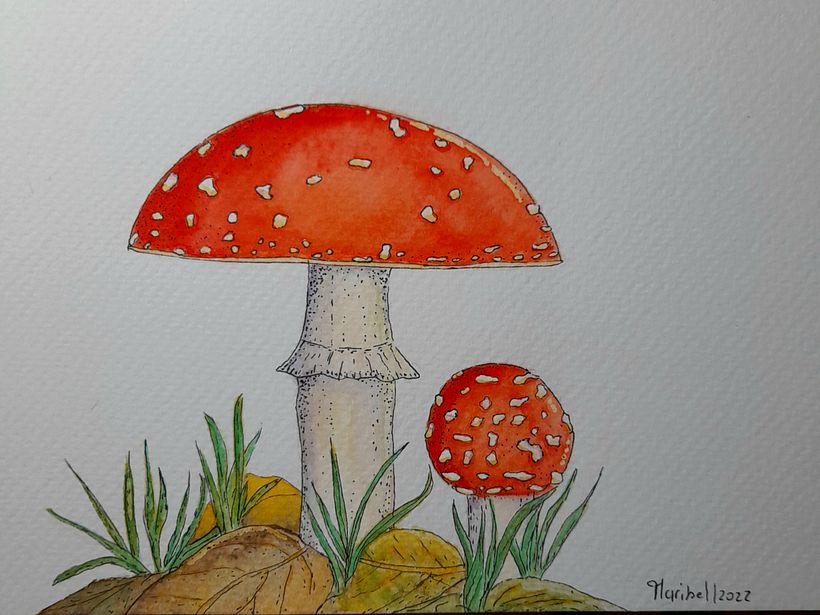 Mi proyecto del curso: Ilustración de la naturaleza con acuarela y plumilla 4