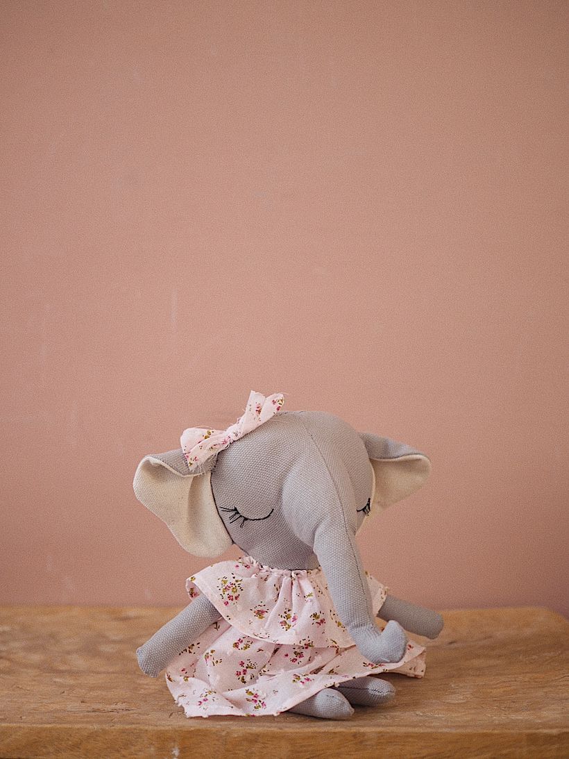 Arati l'elefante 5