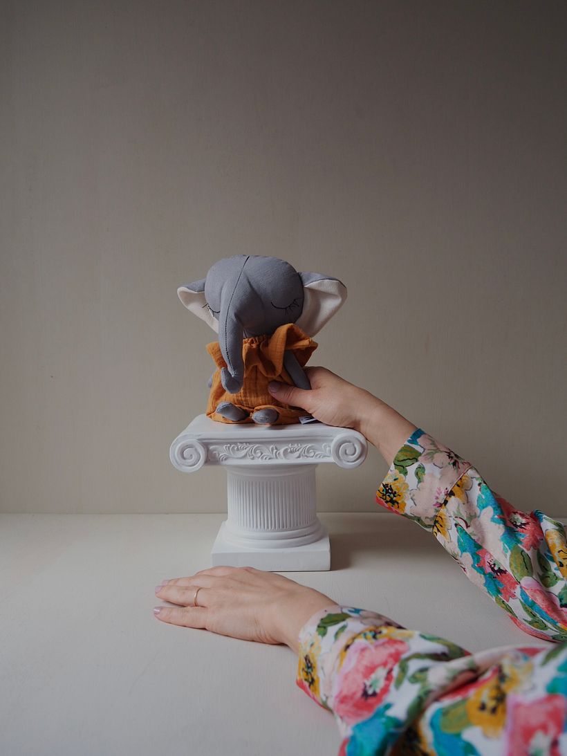 Arati l'elefante 6