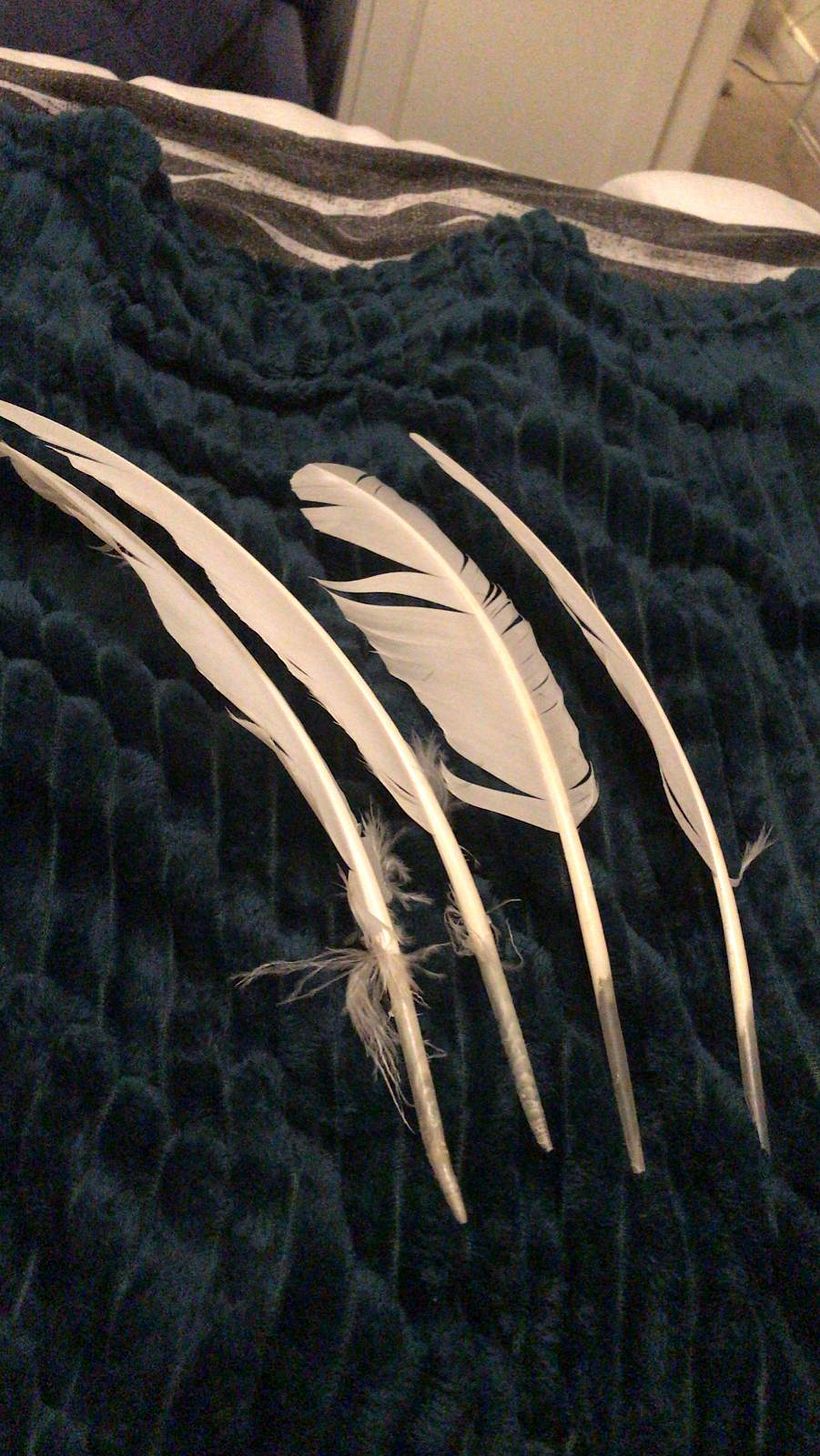 Traditional Handmade Calligraphy Materials 7