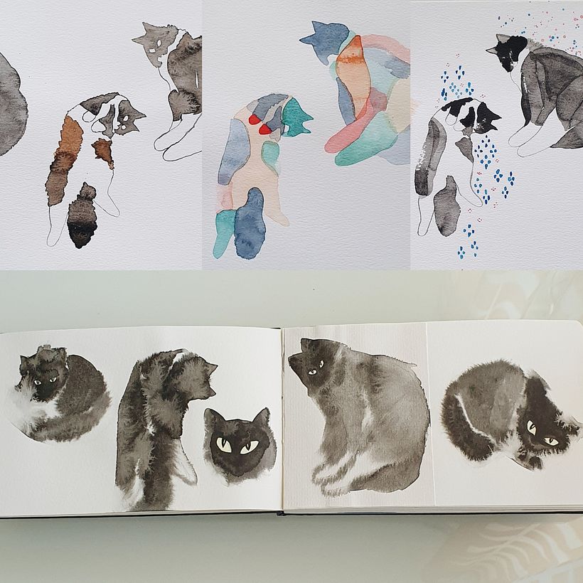 My cat Salsa in different techniques