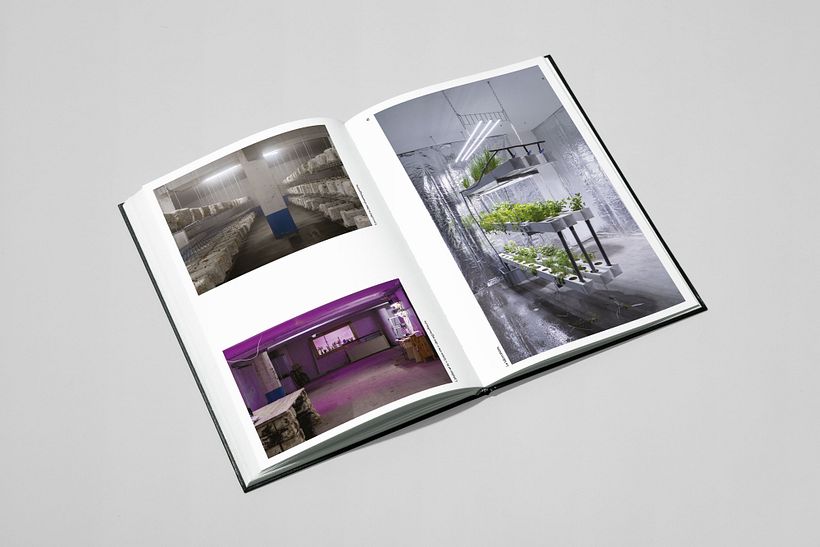 Forall Book 5