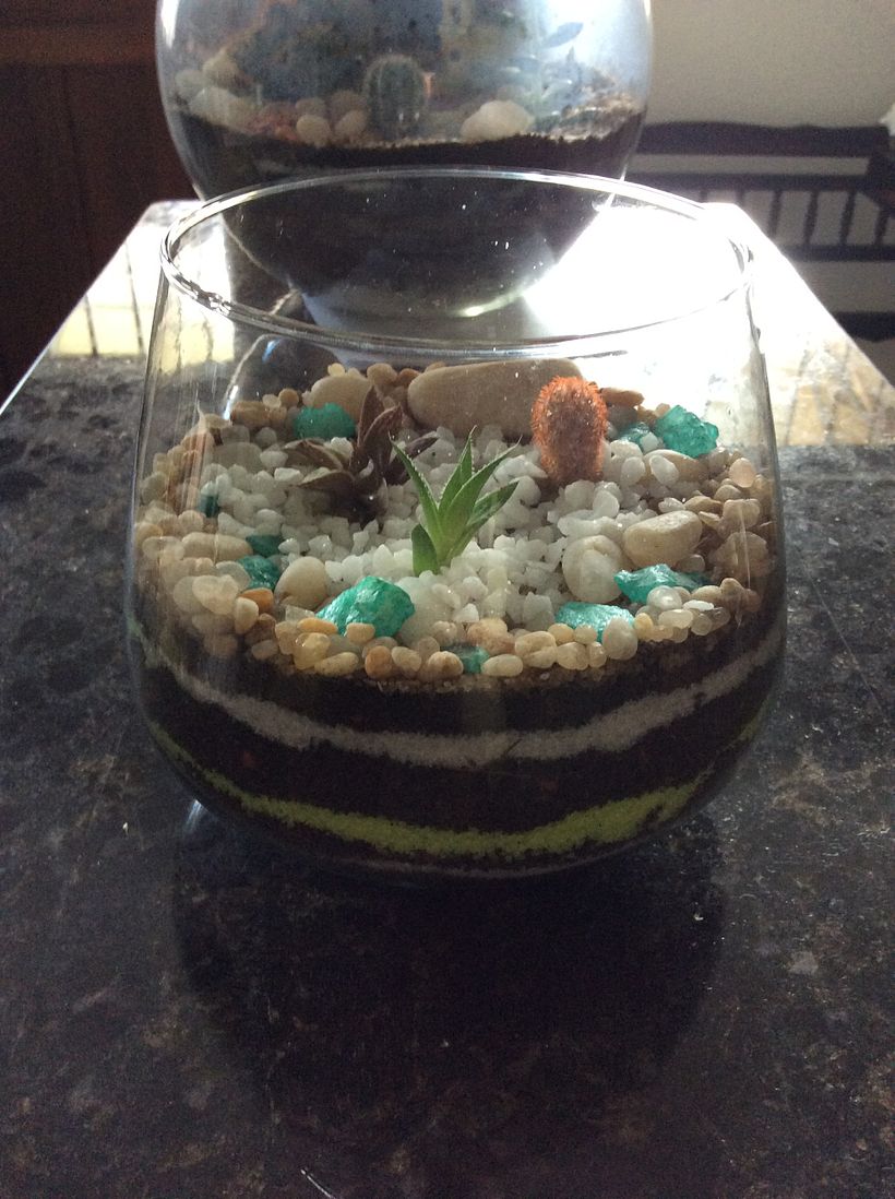 Meu projeto do curso: Arte vegetal: crie seu próprio terrário aberto 3