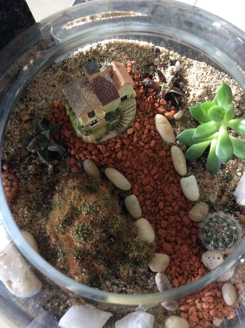 Meu projeto do curso: Arte vegetal: crie seu próprio terrário aberto 5