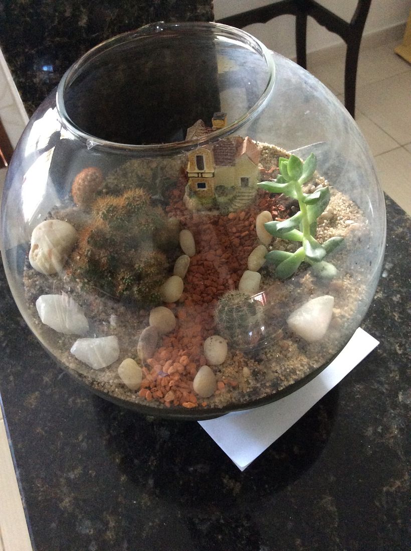 Meu projeto do curso: Arte vegetal: crie seu próprio terrário aberto 7