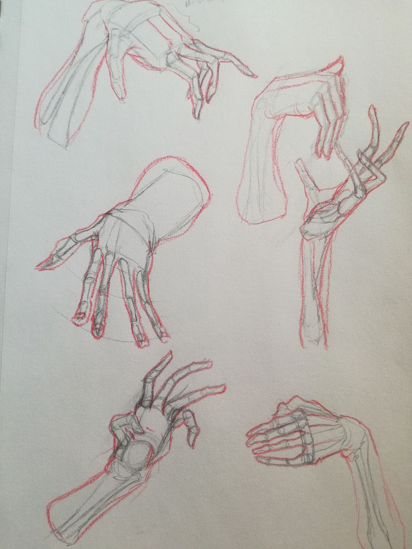 Mi proyecto del curso: Dibujo anatómico de extremidades, manos y pies 3