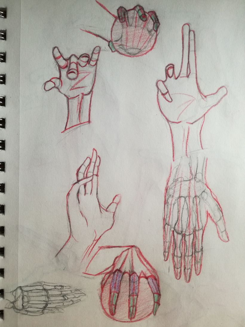 Mi proyecto del curso: Dibujo anatómico de extremidades, manos y pies 4