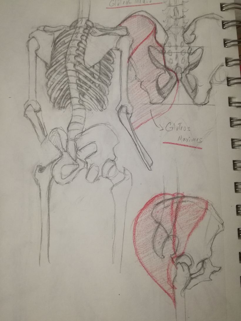 Mi proyecto del curso: Dibujo anatómico de extremidades, manos y pies 5