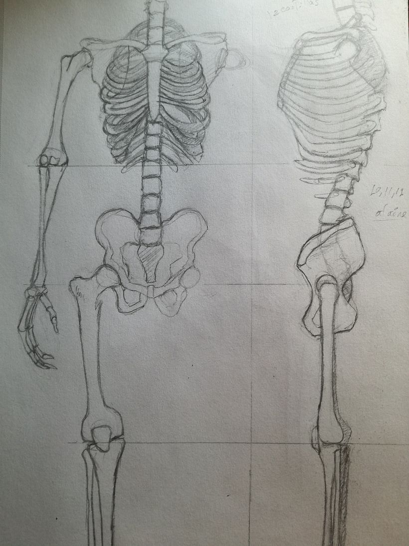 Mi proyecto del curso: Dibujo anatómico de extremidades, manos y pies 7