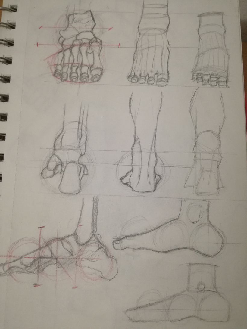 Mi proyecto del curso: Dibujo anatómico de extremidades, manos y pies 8
