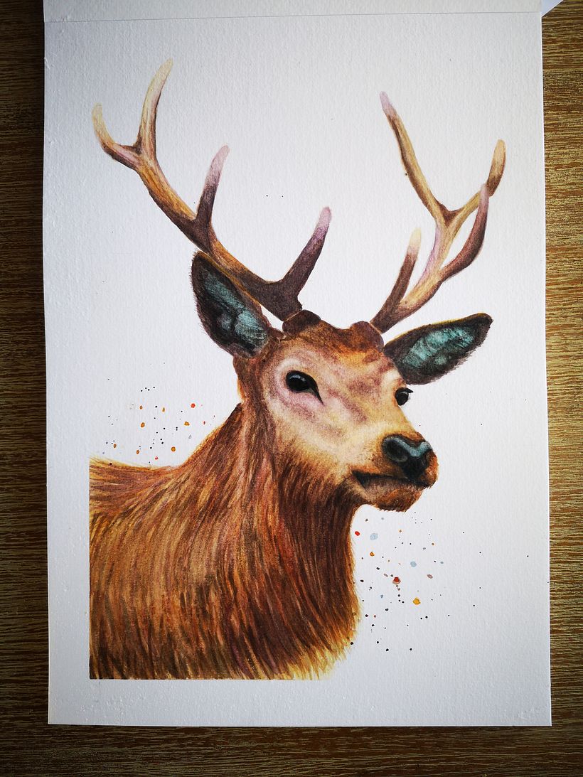 My project for course: Expressive Animal Portraits in Watercolor 4