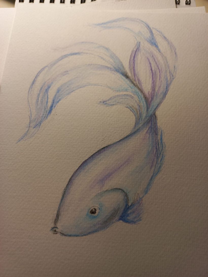 Mis Dibujos 5