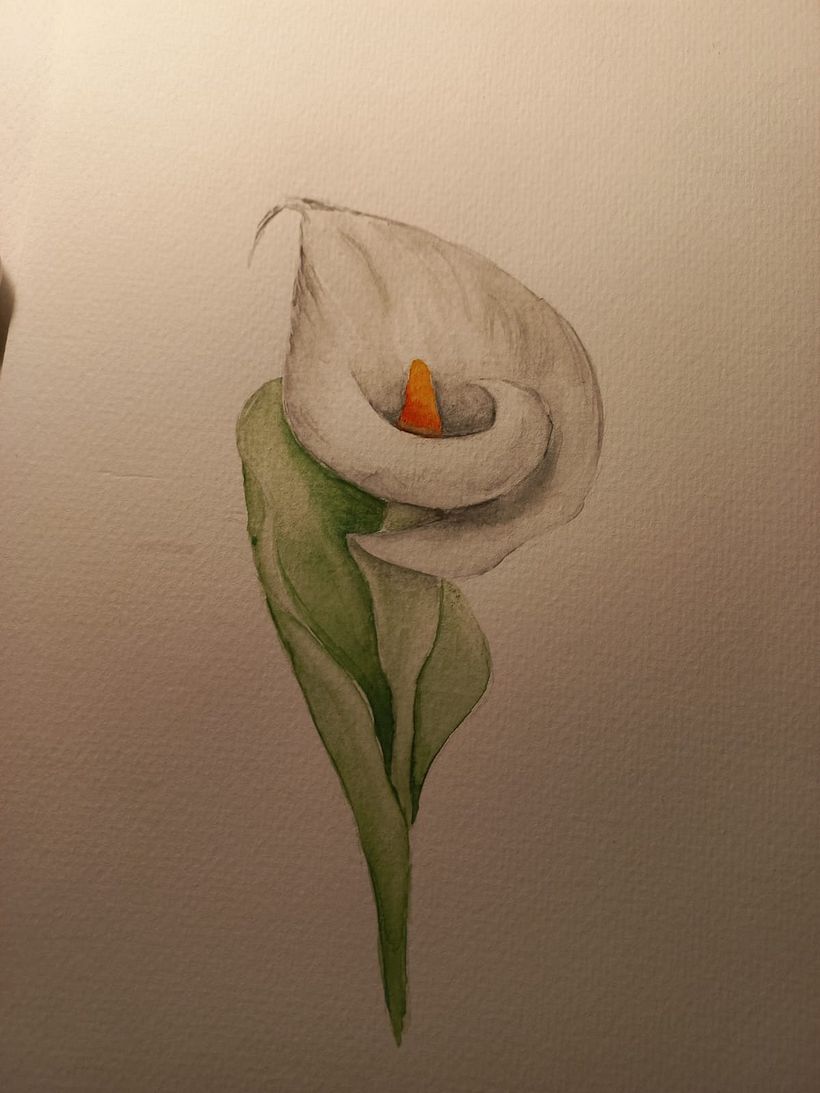 Mis Dibujos 1