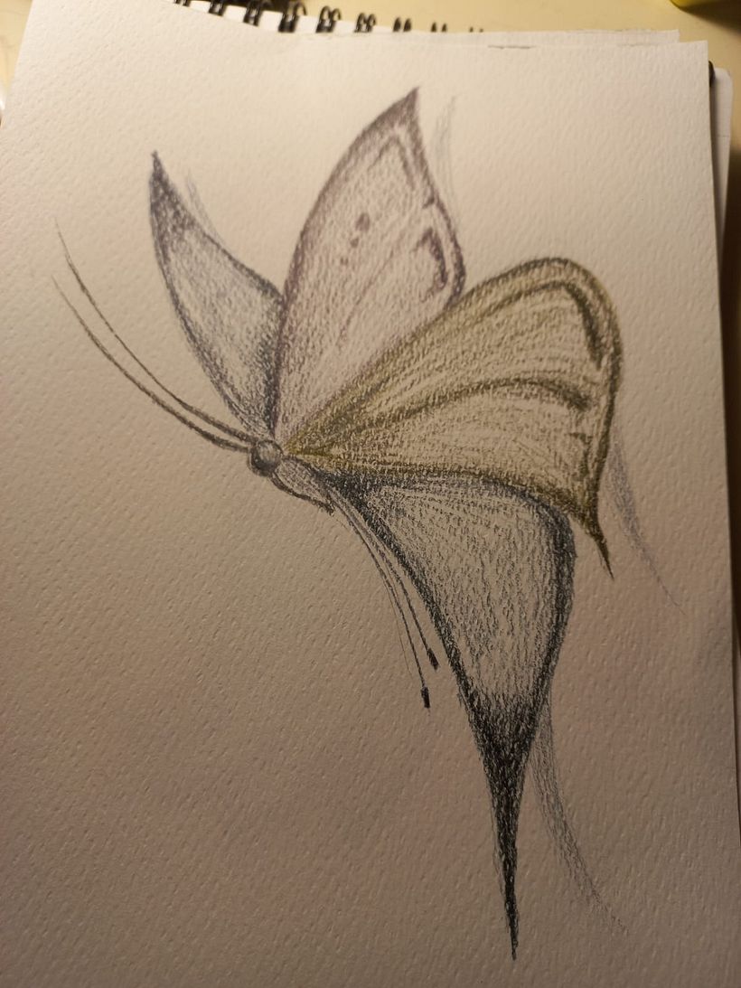 Mis Dibujos 6