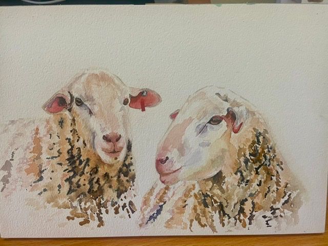Final painting, moved left sheep closer. Was much happier with wool. lacked courage to try a background so far…. spatters?