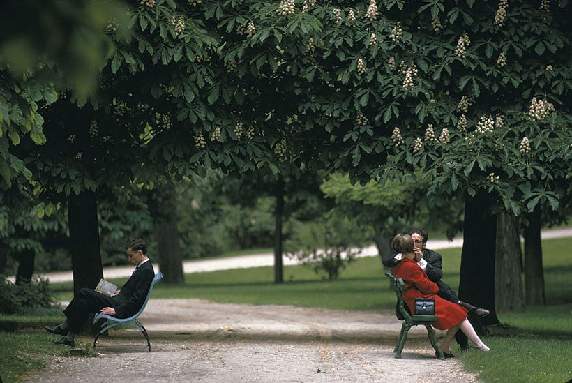 Joel Meyerowitz