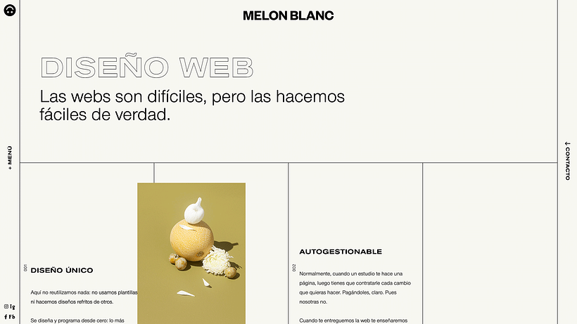 Melon Blanc 8