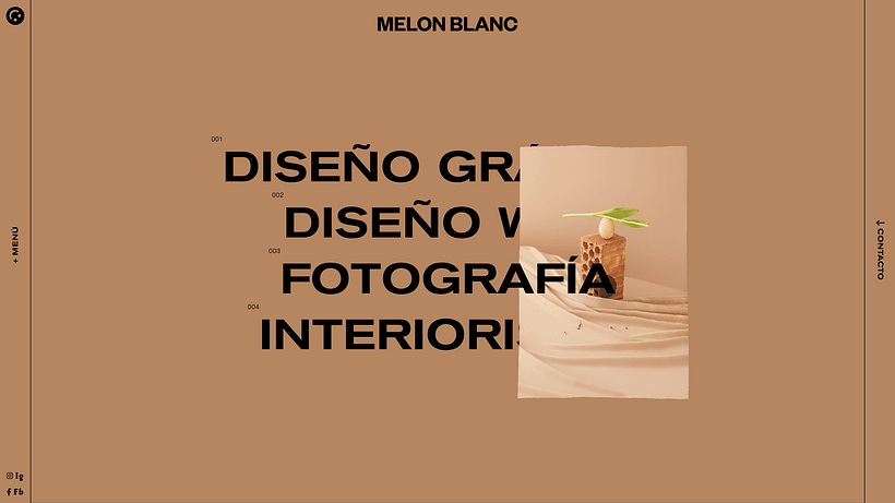Melon Blanc 9