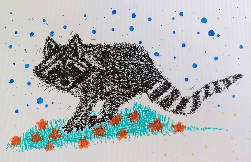 Mapache 1 (1r intento)