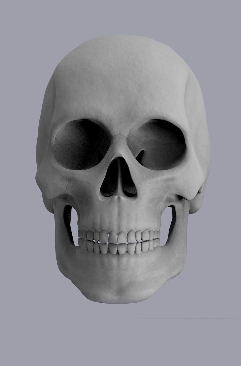  human skull 2