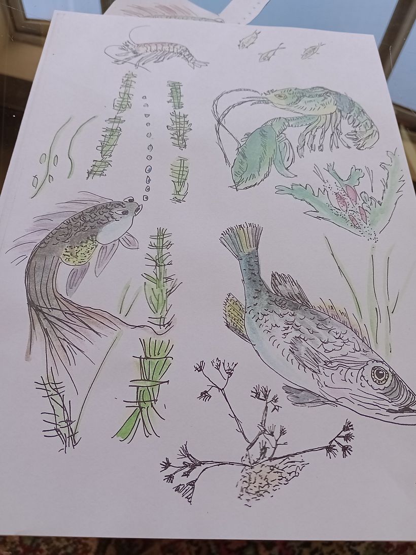 Final project 
