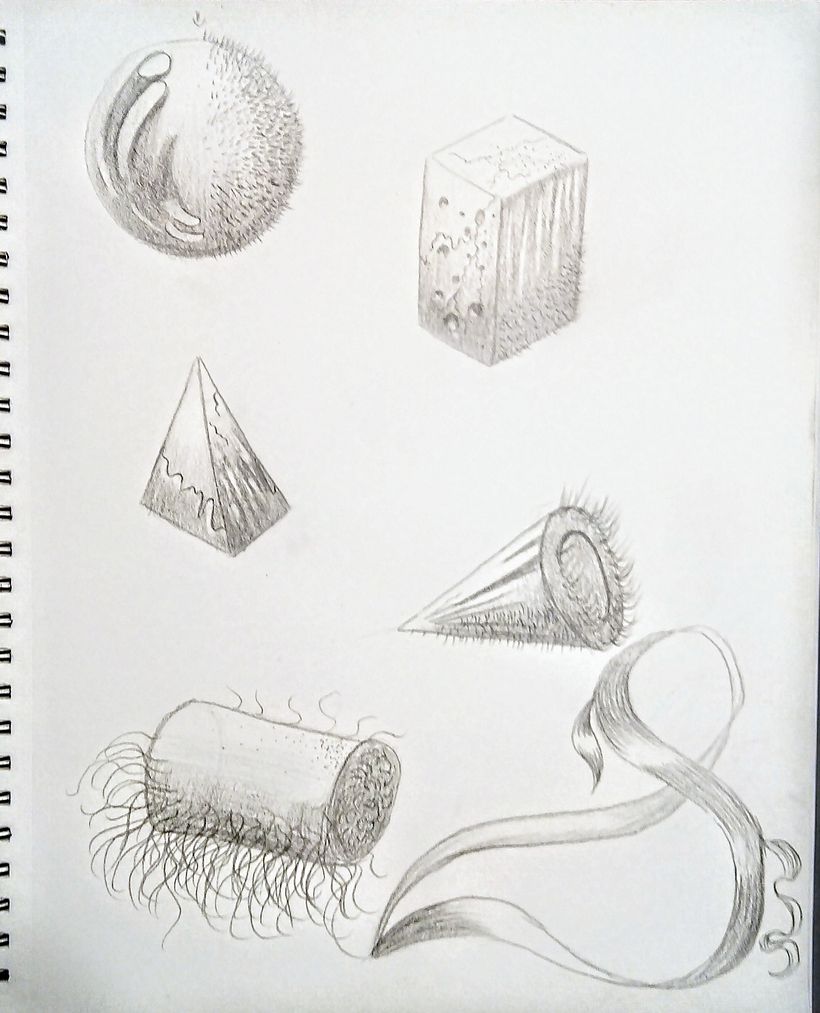 Mi proyecto del curso: Dibujo anatómico de la cabeza humana 3