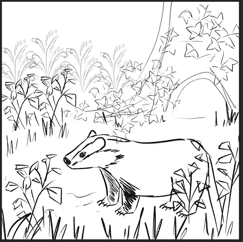 Initial sketch