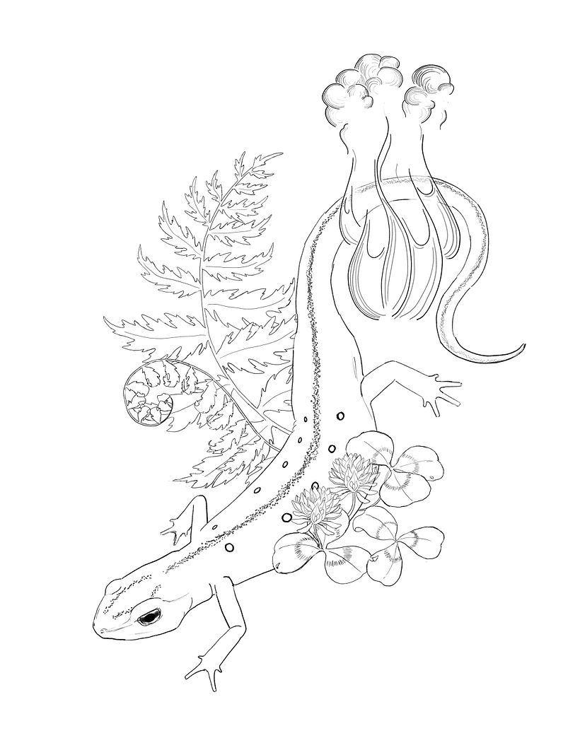 Digital sketch using Photoshop
